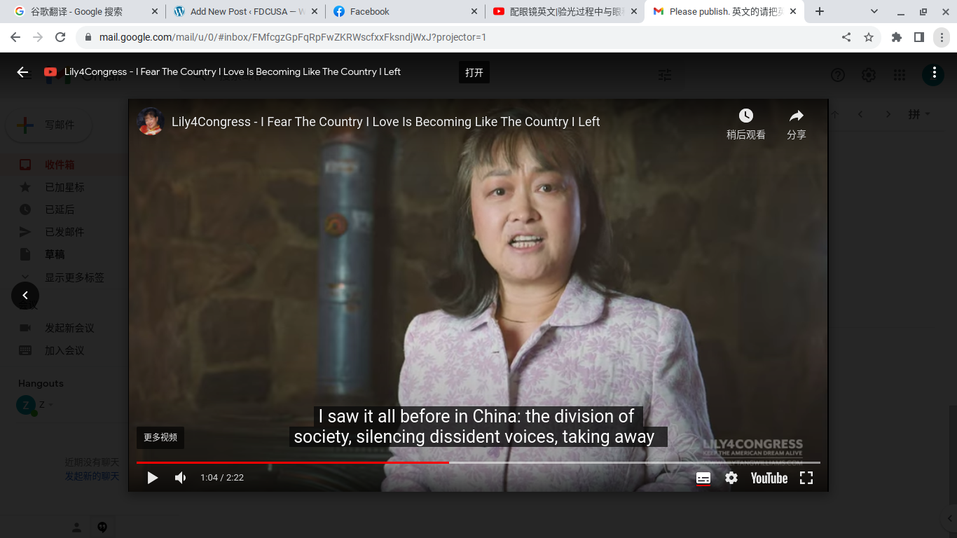 Lily Tang Williams runs for Congress